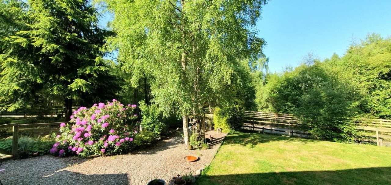 Torcroft Lodges Drumnadrochit Eksteriør billede