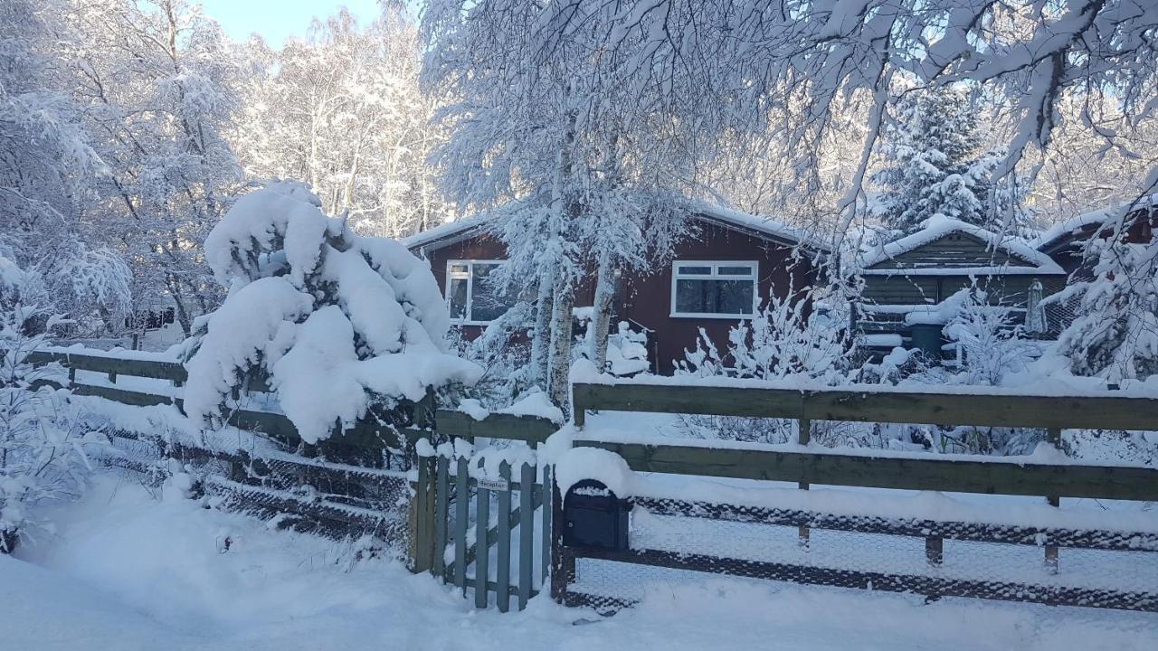Torcroft Lodges Drumnadrochit Eksteriør billede
