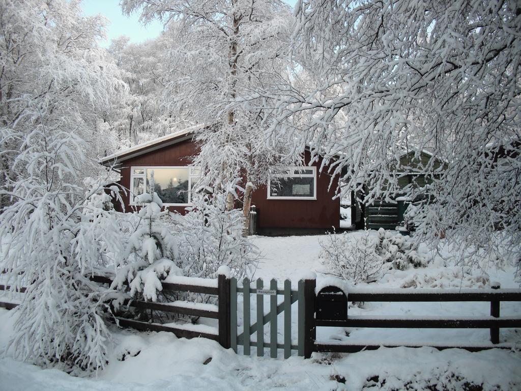 Torcroft Lodges Drumnadrochit Værelse billede